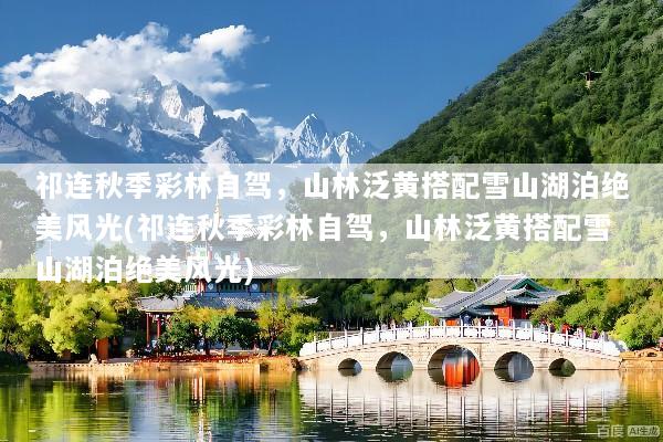 祁连秋季彩林自驾，山林泛黄搭配雪山湖泊绝美风光(祁连秋季彩林自驾，山林泛黄搭配雪山湖泊绝美风光)
