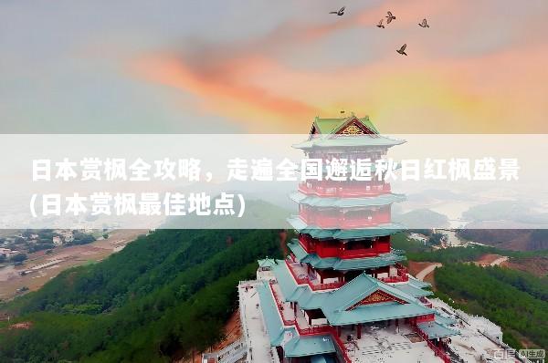 日本赏枫全攻略，走遍全国邂逅秋日红枫盛景(日本赏枫最佳地点)