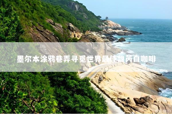 墨尔本涂鸦巷弄寻觅世界最佳馥芮白咖啡