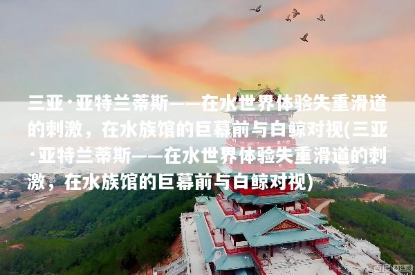 三亚·亚特兰蒂斯——在水世界体验失重滑道的刺激，在水族馆的巨幕前与白鲸对视(三亚·亚特兰蒂斯——在水世界体验失重滑道的刺激，在水族馆的巨幕前与白鲸对视)