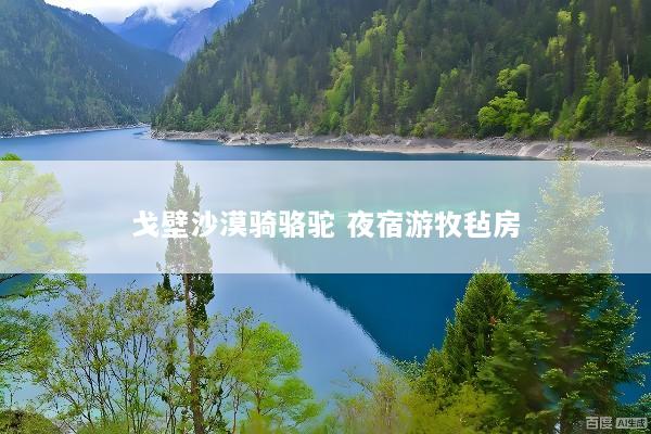 戈壁沙漠骑骆驼 夜宿游牧毡房