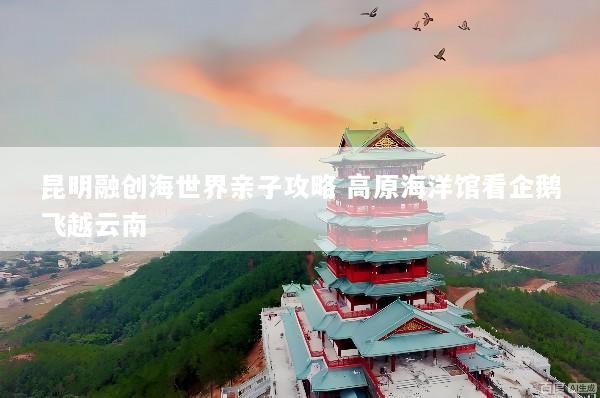 昆明融创海世界亲子攻略 高原海洋馆看企鹅飞越云南
