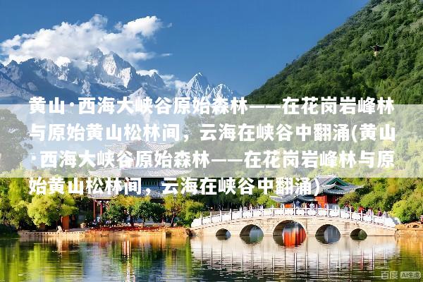 黄山·西海大峡谷原始森林——在花岗岩峰林与原始黄山松林间，云海在峡谷中翻涌(黄山·西海大峡谷原始森林——在花岗岩峰林与原始黄山松林间，云海在峡谷中翻涌)