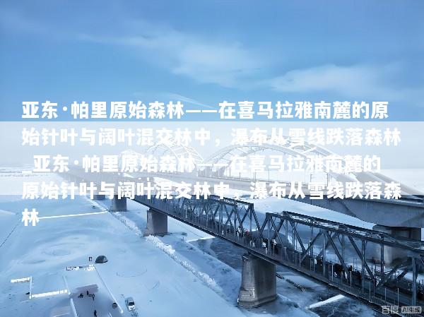 亚东·帕里原始森林——在喜马拉雅南麓的原始针叶与阔叶混交林中，瀑布从雪线跌落森林_亚东·帕里原始森林——在喜马拉雅南麓的原始针叶与阔叶混交林中，瀑布从雪线跌落森林
