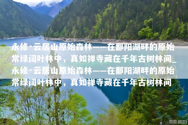 永修·云居山原始森林——在鄱阳湖畔的原始常绿阔叶林中，真如禅寺藏在千年古树林间_永修·云居山原始森林——在鄱阳湖畔的原始常绿阔叶林中，真如禅寺藏在千年古树林间