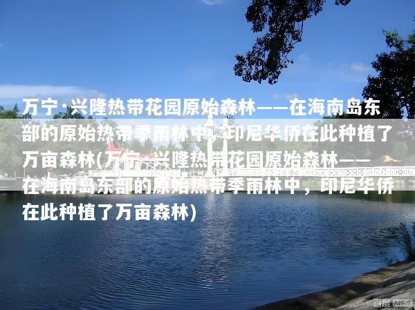 万宁·兴隆热带花园原始森林——在海南岛东部的原始热带季雨林中，印尼华侨在此种植了万亩森林(万宁·兴隆热带花园原始森林——在海南岛东部的原始热带季雨林中，印尼华侨在此种植了万亩森林)