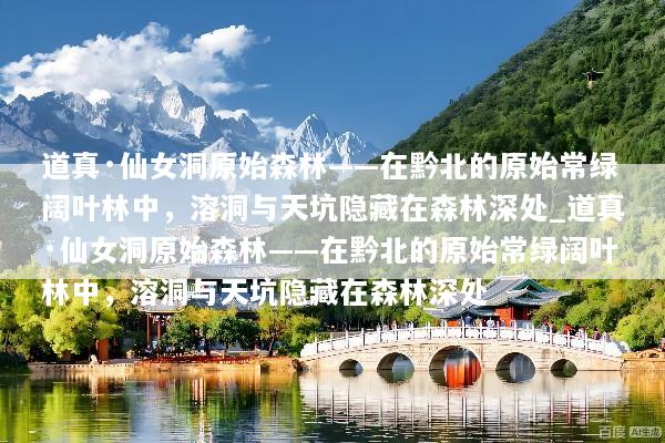 道真·仙女洞原始森林——在黔北的原始常绿阔叶林中，溶洞与天坑隐藏在森林深处_道真·仙女洞原始森林——在黔北的原始常绿阔叶林中，溶洞与天坑隐藏在森林深处