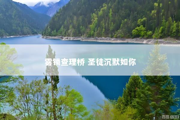 雾锁查理桥 圣徒沉默如你