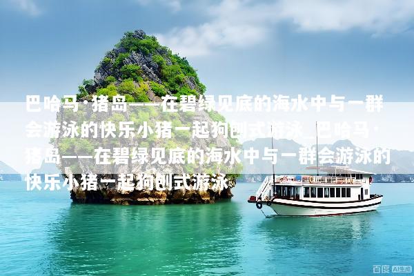 巴哈马·猪岛——在碧绿见底的海水中与一群会游泳的快乐小猪一起狗刨式游泳_巴哈马·猪岛——在碧绿见底的海水中与一群会游泳的快乐小猪一起狗刨式游泳
