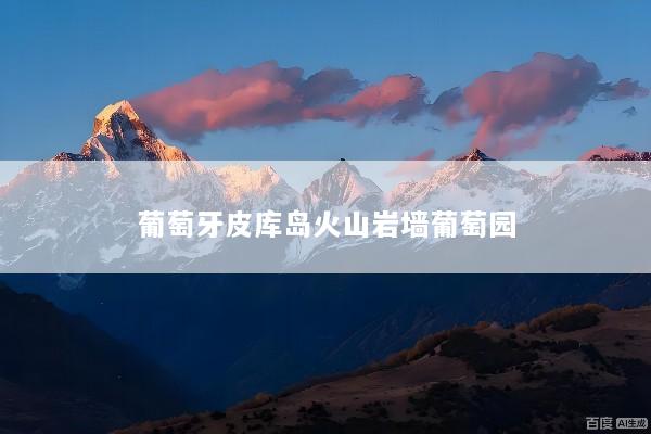 葡萄牙皮库岛火山岩墙葡萄园