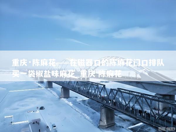 重庆·陈麻花——在磁器口的陈麻花门口排队买一袋椒盐味麻花_重庆 陈麻花