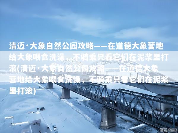清迈·大象自然公园攻略——在道德大象营地给大象喂食洗澡，不骑乘只看它们在泥浆里打滚(清迈·大象自然公园攻略——在道德大象营地给大象喂食洗澡，不骑乘只看它们在泥浆里打滚)
