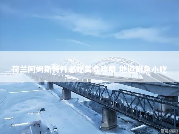 荷兰阿姆斯特丹必吃美食攻略 地道鲱鱼小吃