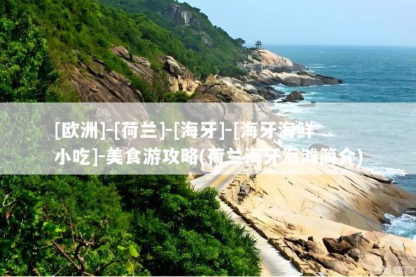[欧洲]-[荷兰]-[海牙]-[海牙海鲜小吃]-美食游攻略(荷兰海牙海滩简介)