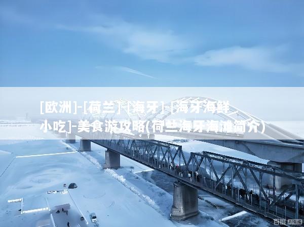 [欧洲]-[荷兰]-[海牙]-[海牙海鲜小吃]-美食游攻略(荷兰海牙海滩简介)