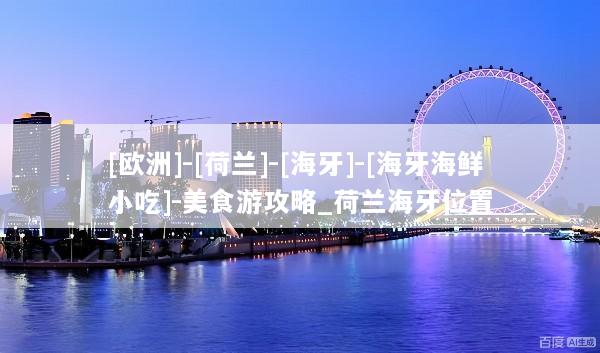 [欧洲]-[荷兰]-[海牙]-[海牙海鲜小吃]-美食游攻略_荷兰海牙位置